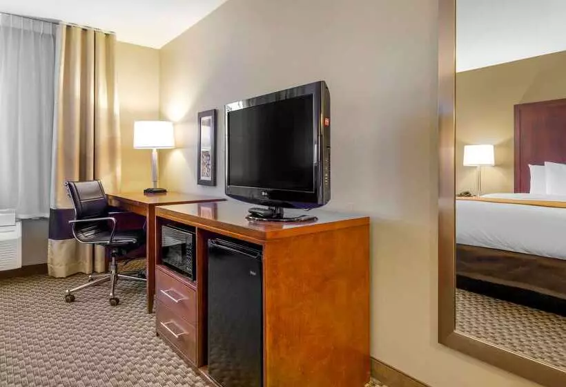 酒店 Comfort Inn Auburn Seattle