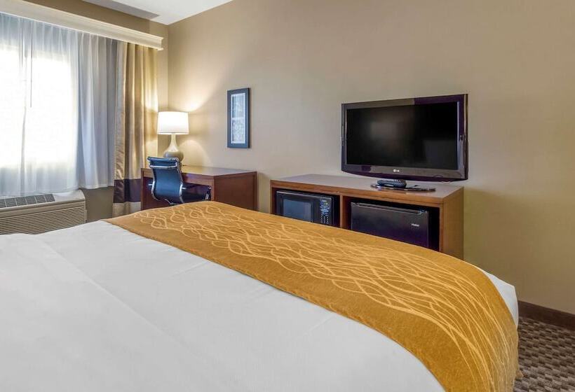 酒店 Comfort Inn Auburn  Seattle