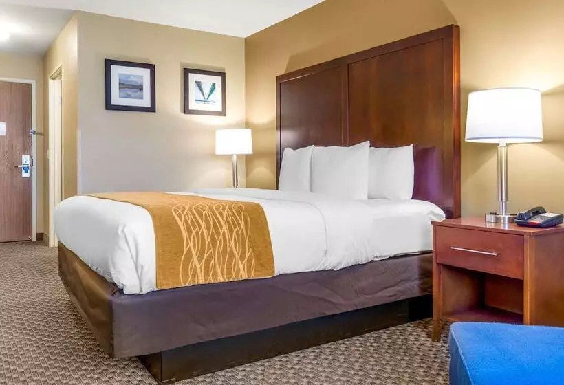酒店 Comfort Inn Auburn Seattle