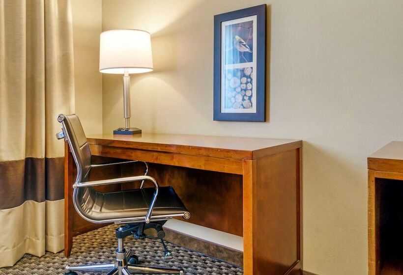 酒店 Comfort Inn Auburn  Seattle