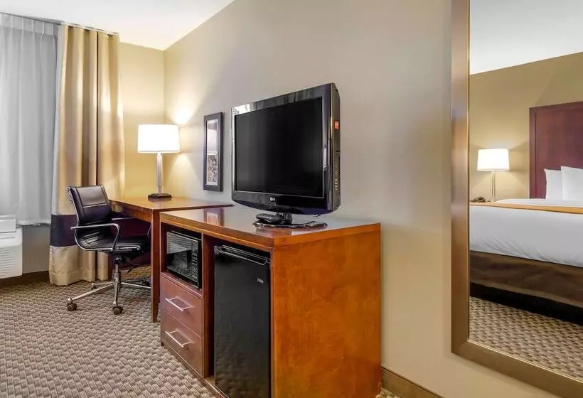 酒店 Comfort Inn Auburn Seattle