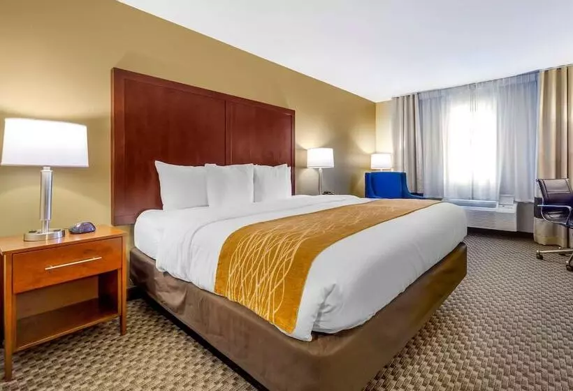 酒店 Comfort Inn Auburn Seattle