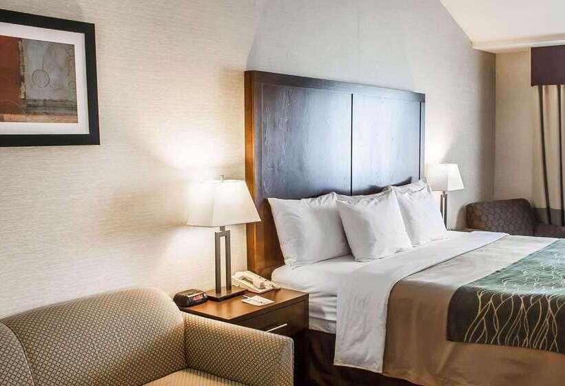 酒店 Comfort Inn Federal Way  Seattle