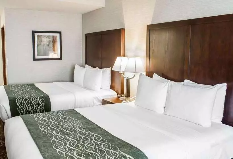 בית מלון כפרי Comfort Inn Federal Way  Seattle