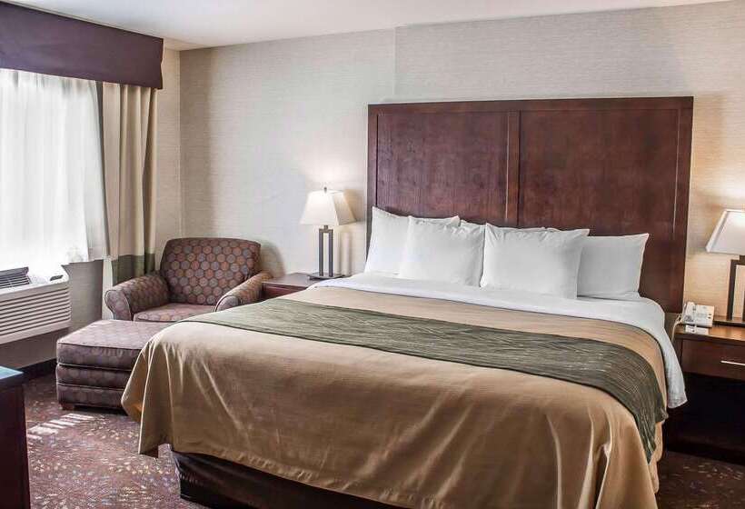 酒店 Comfort Inn Federal Way  Seattle