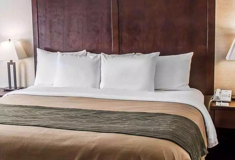 בית מלון כפרי Comfort Inn Federal Way  Seattle