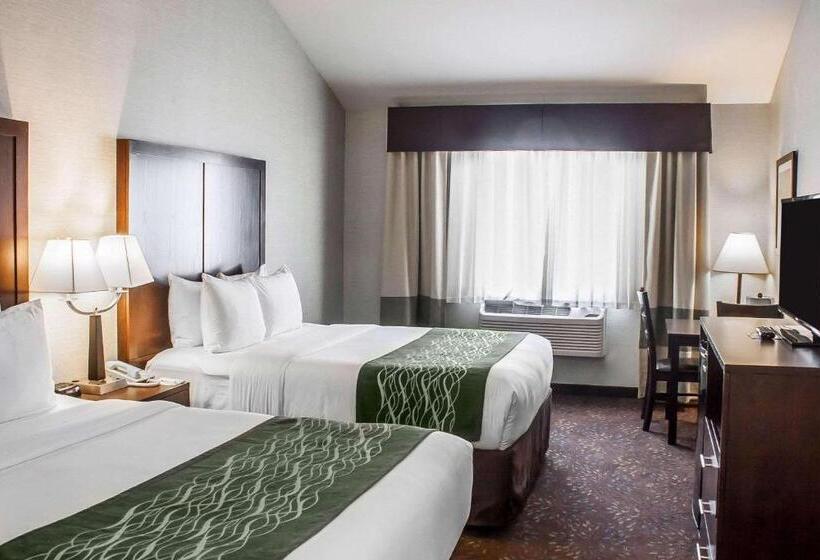 酒店 Comfort Inn Federal Way  Seattle