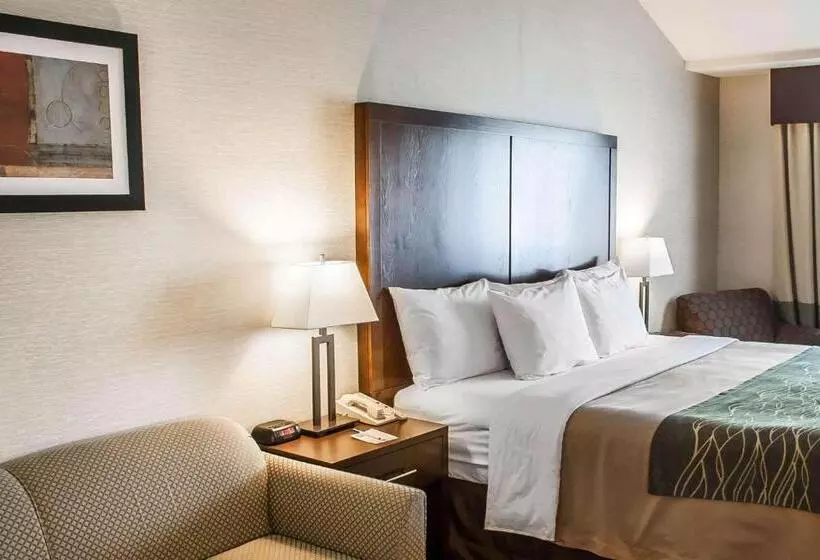 בית מלון כפרי Comfort Inn Federal Way  Seattle