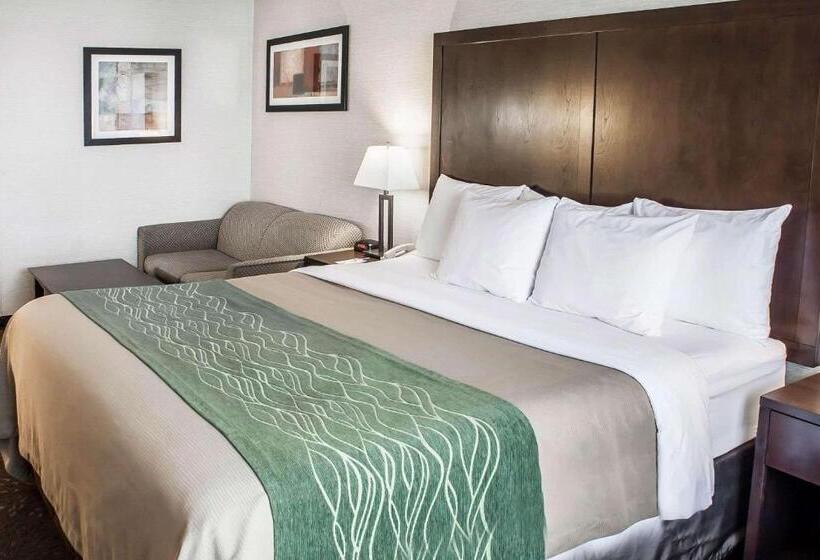 酒店 Comfort Inn Federal Way  Seattle