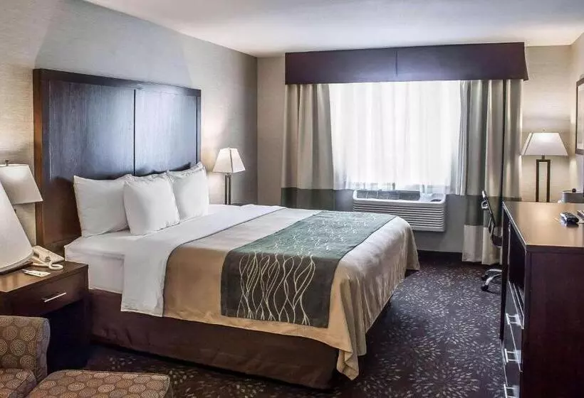 בית מלון כפרי Comfort Inn Federal Way  Seattle