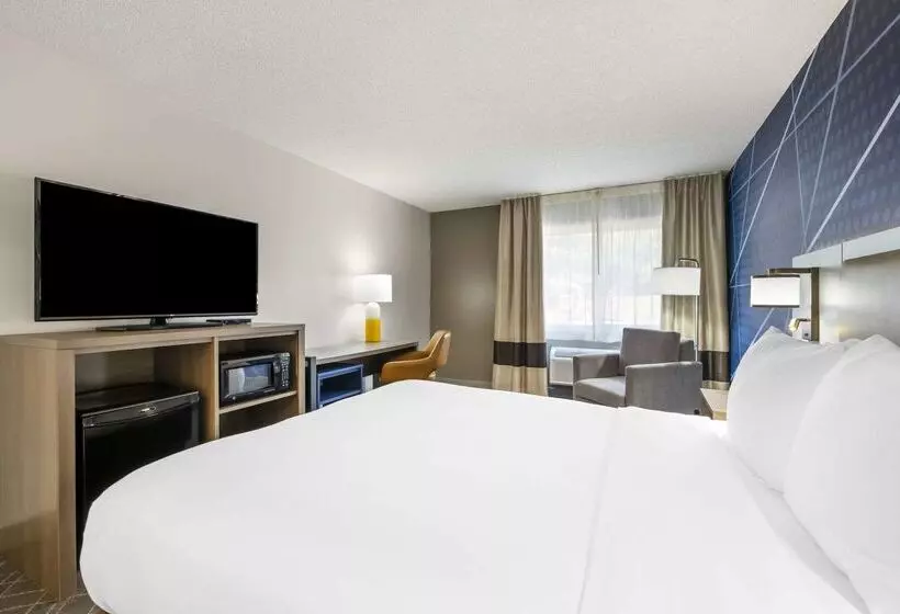 酒店 Comfort Inn Hastings