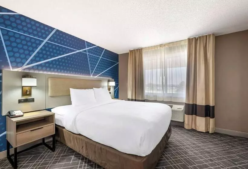 酒店 Comfort Inn Hastings