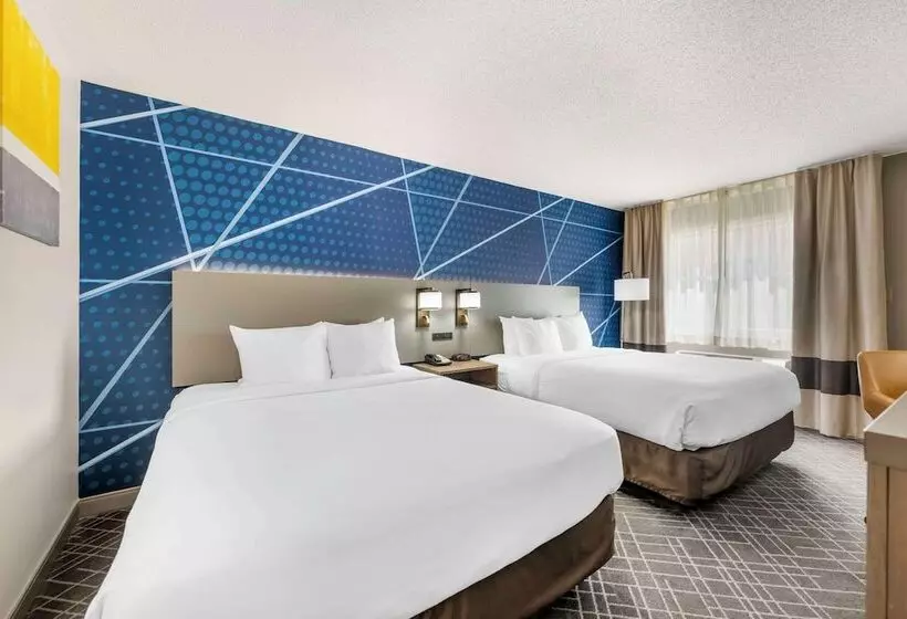 酒店 Comfort Inn Hastings