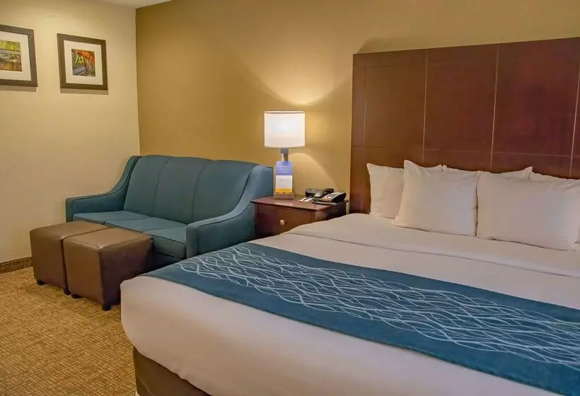 فندق Comfort Inn Huntington Near University