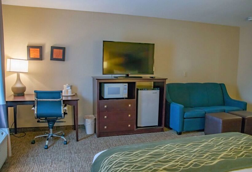 酒店 Comfort Inn Huntington Near University