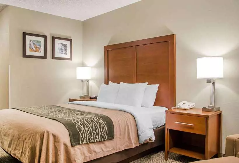 בית מלון כפרי Comfort Inn