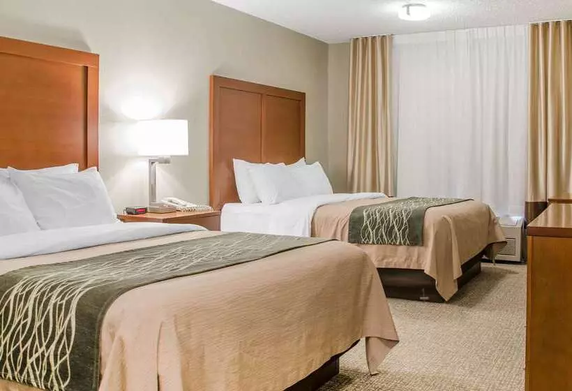 בית מלון כפרי Comfort Inn