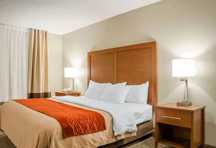 בית מלון כפרי Comfort Inn