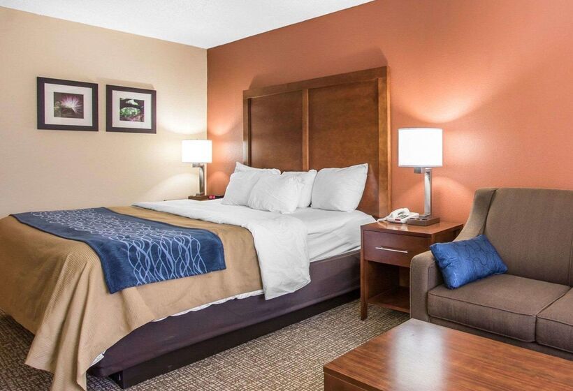 ホテル Comfort Inn