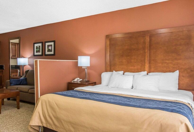 ホテル Comfort Inn