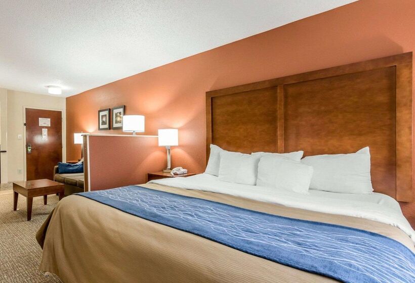 ホテル Comfort Inn