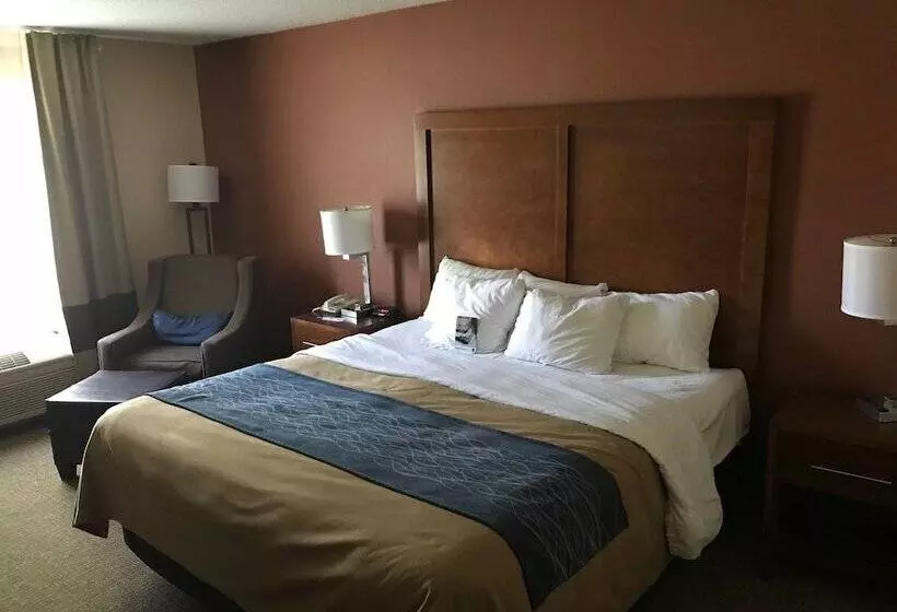 فندق Comfort Inn