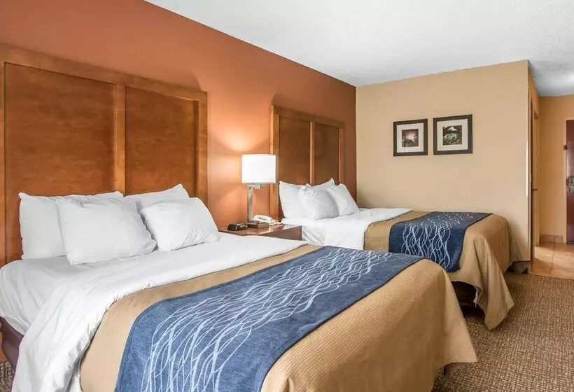 فندق Comfort Inn