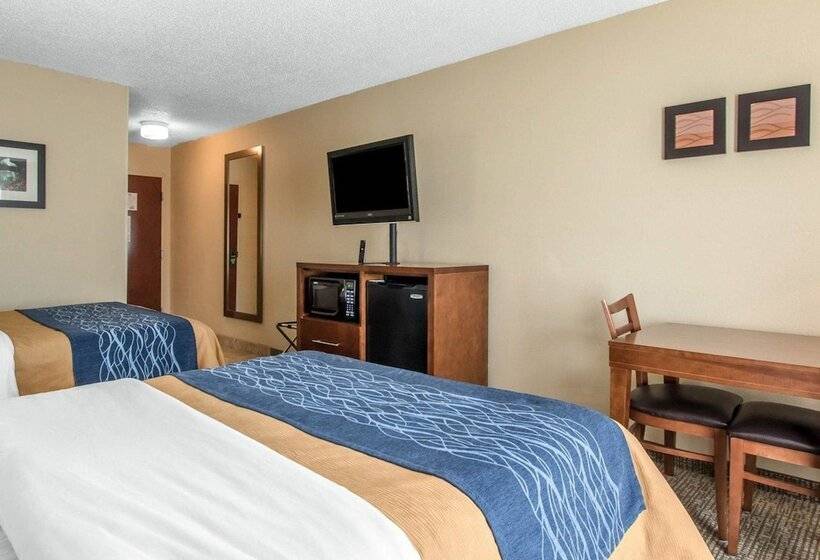 ホテル Comfort Inn