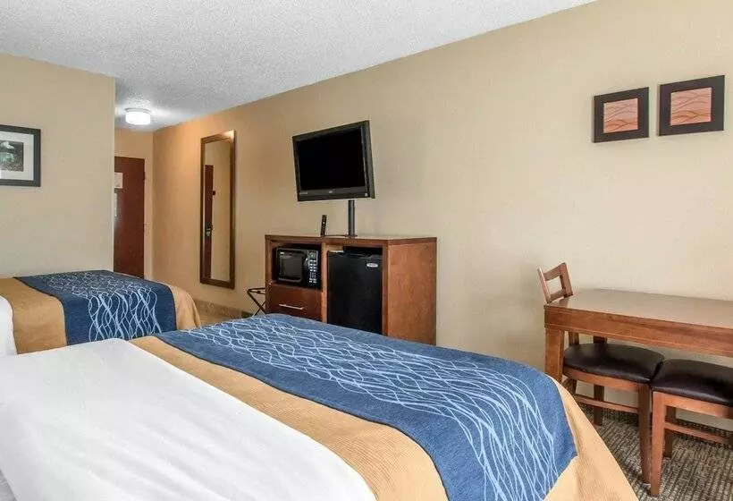 فندق Comfort Inn