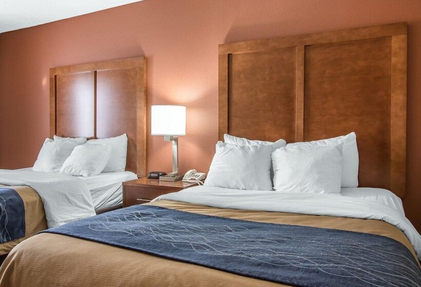 ホテル Comfort Inn