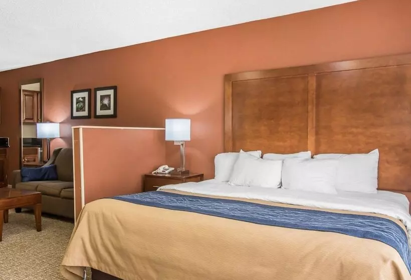 فندق Comfort Inn