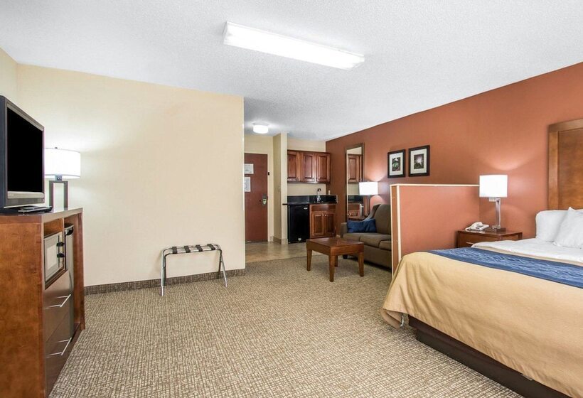 ホテル Comfort Inn