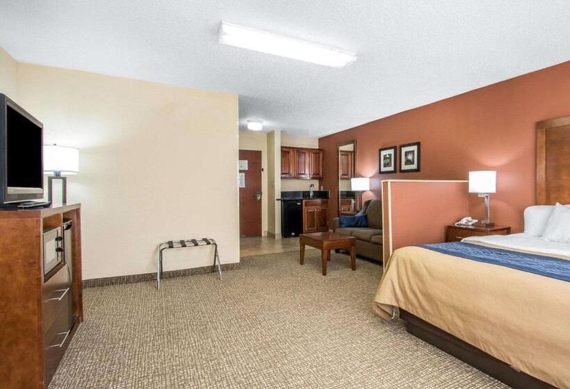 ホテル Comfort Inn