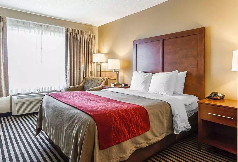 ホテル Comfort Inn Owatonna Near Medical Center