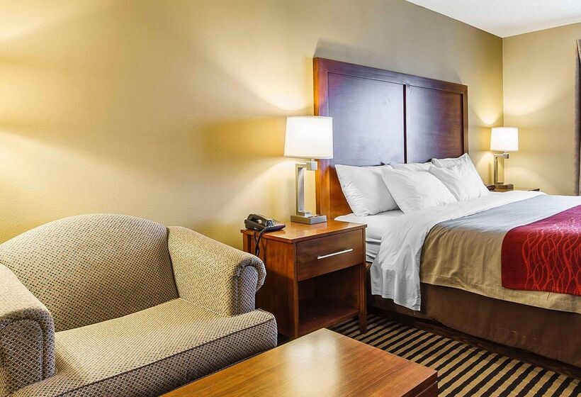 ホテル Comfort Inn Owatonna Near Medical Center