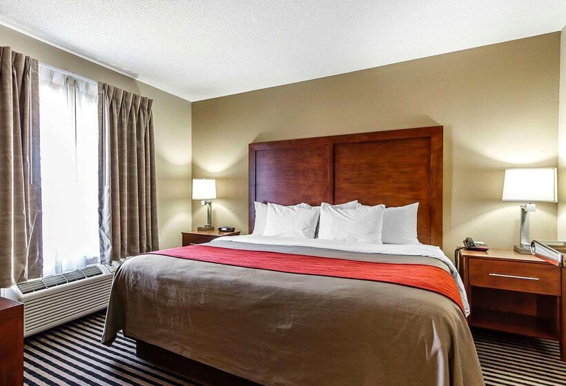 ホテル Comfort Inn Owatonna Near Medical Center