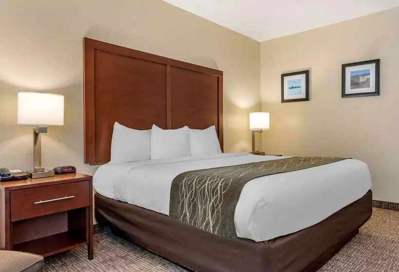 هتل Comfort Inn