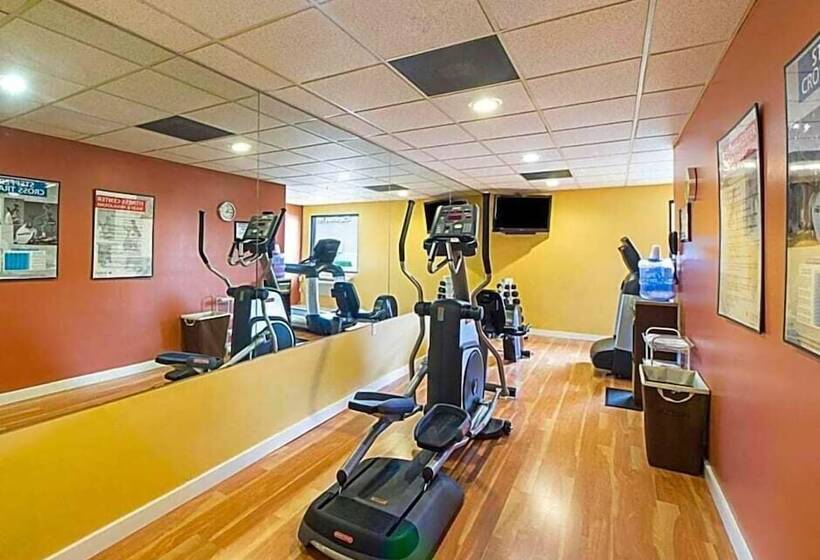 酒店 Shary Inn And Suites