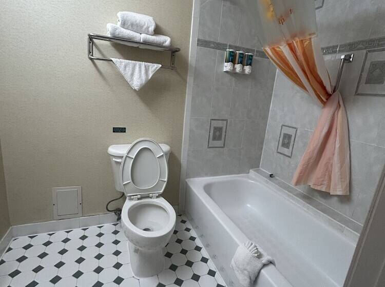 酒店 Shary Inn And Suites