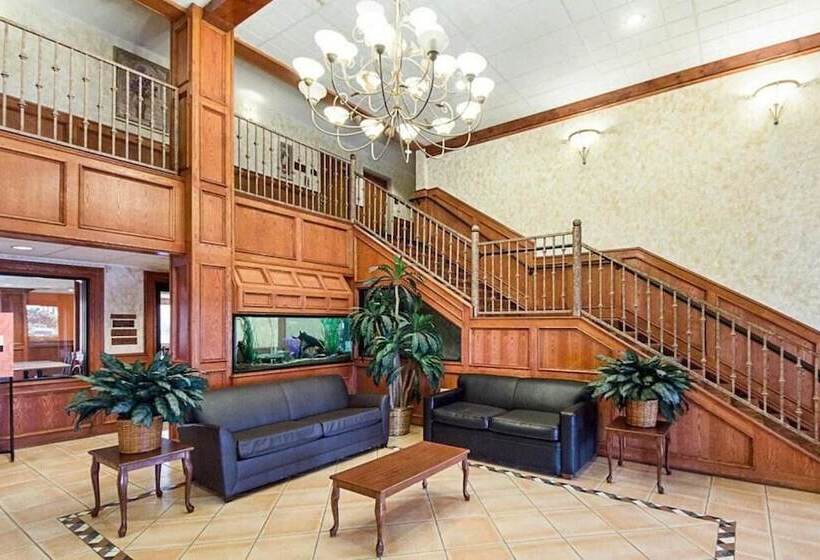 酒店 Shary Inn And Suites