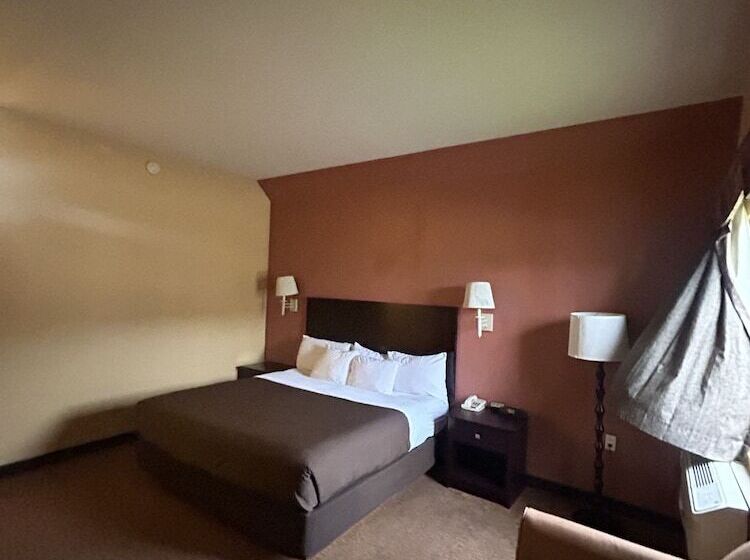 酒店 Shary Inn And Suites