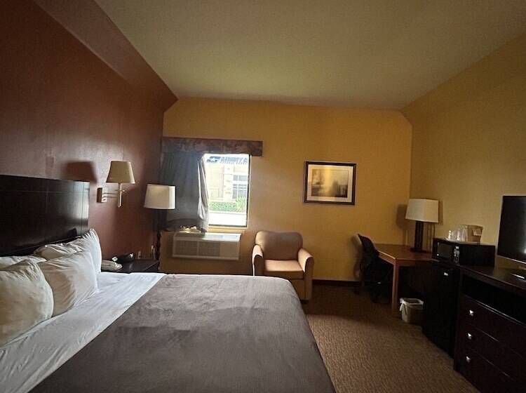 酒店 Shary Inn And Suites