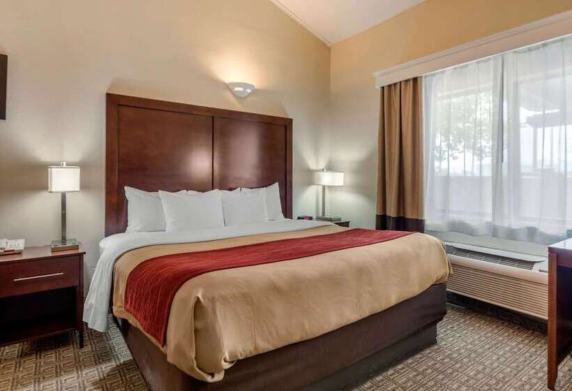 فندق Comfort Inn & Suites Alamosa