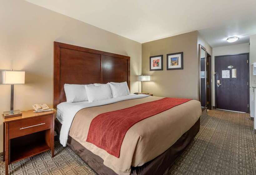 فندق Comfort Inn & Suites Alamosa