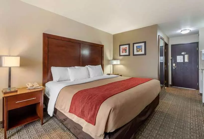 هتل Comfort Inn & Suites Alamosa