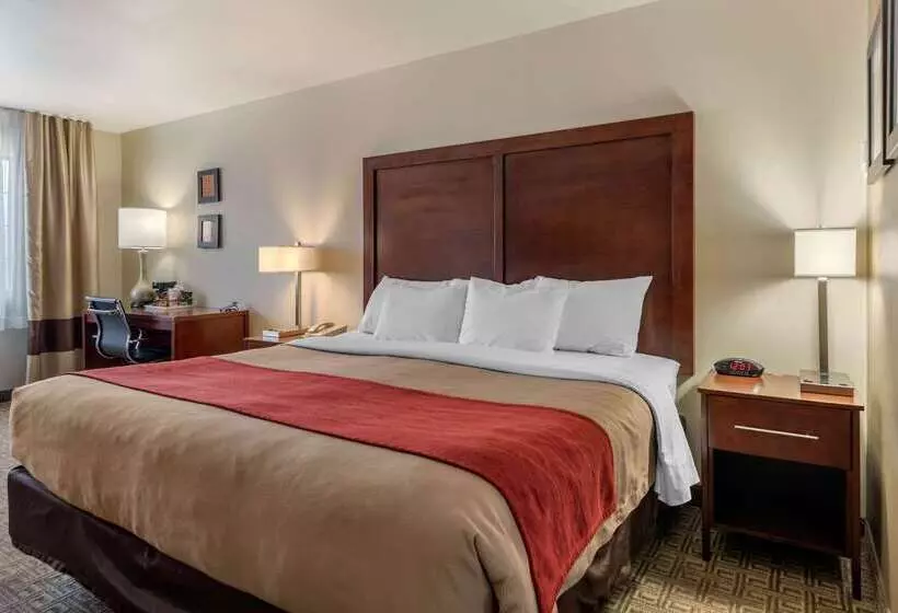 هتل Comfort Inn & Suites Alamosa