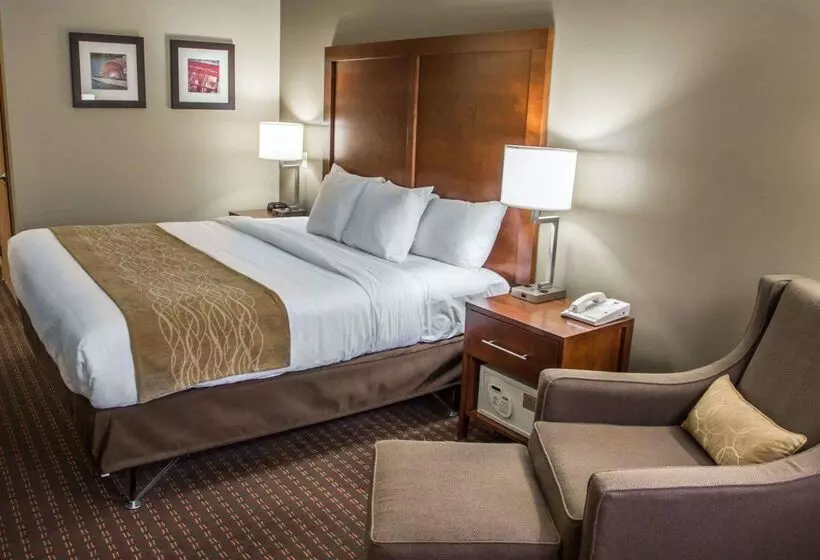 Отель Comfort Inn & Suites Riverview Near Davenport And I80