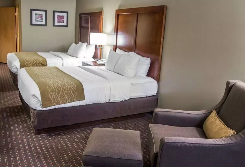 Отель Comfort Inn & Suites Riverview Near Davenport And I80