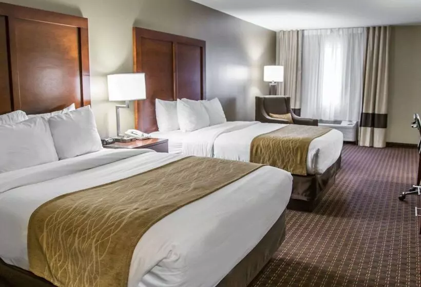酒店 Comfort Inn & Suites Riverview Near Davenport And I80