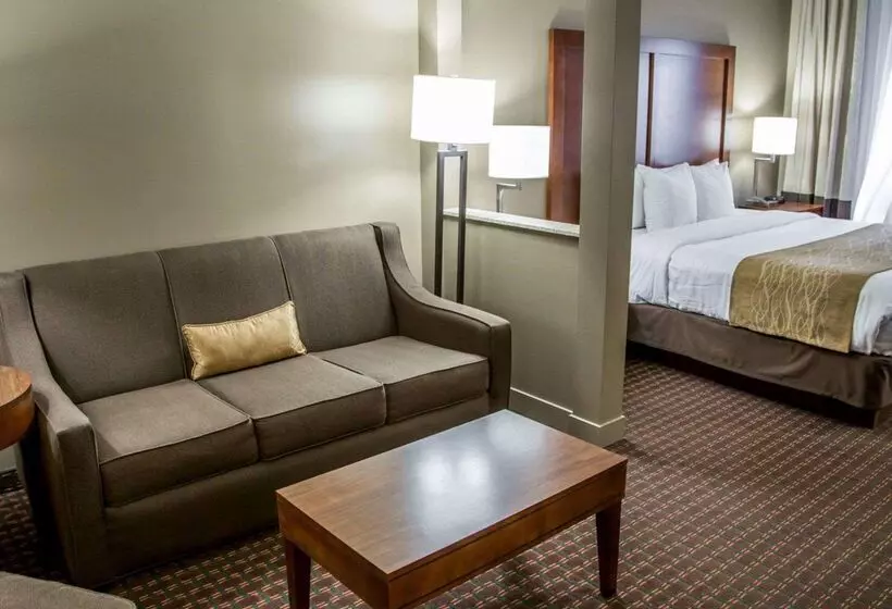 酒店 Comfort Inn & Suites Riverview Near Davenport And I80